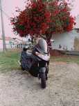 Suzuki  Burgman de