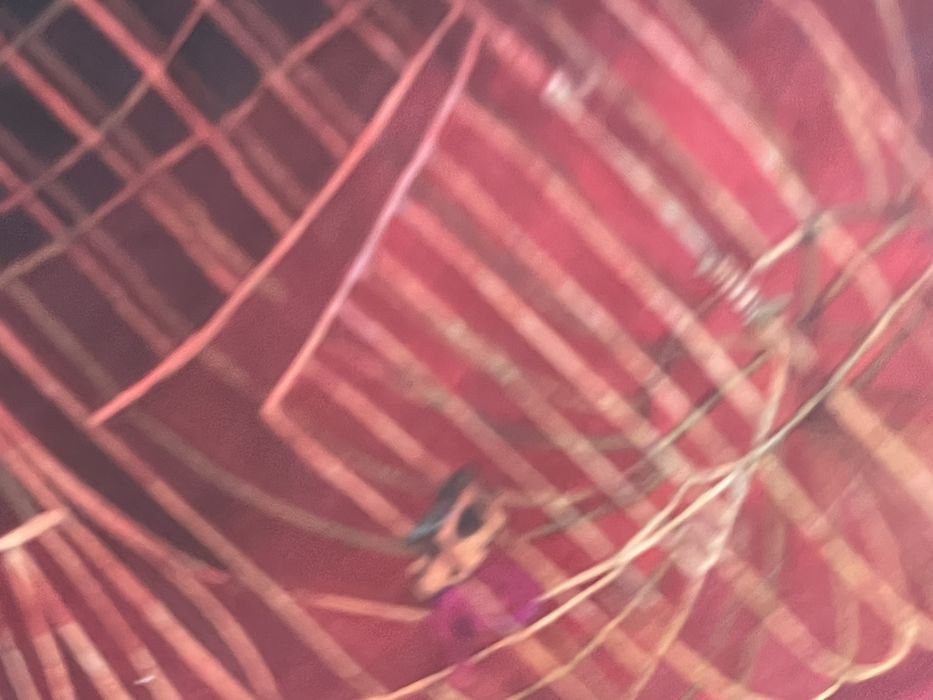 Livro Princesas ilustrado por Rebecca Dautremer