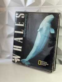 Livro Whales Dolphins And Porpoises National Geographic Society