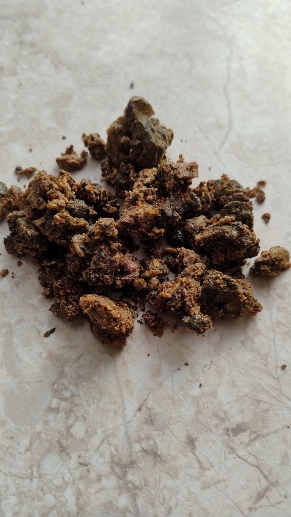 Kit pszczeli (propolis)