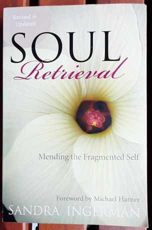 Soul Retrieval - Técnicas de cura Shamânicas (livro em inglês)