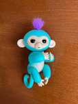 Fingerlings - Macaco Interativo da Concentra