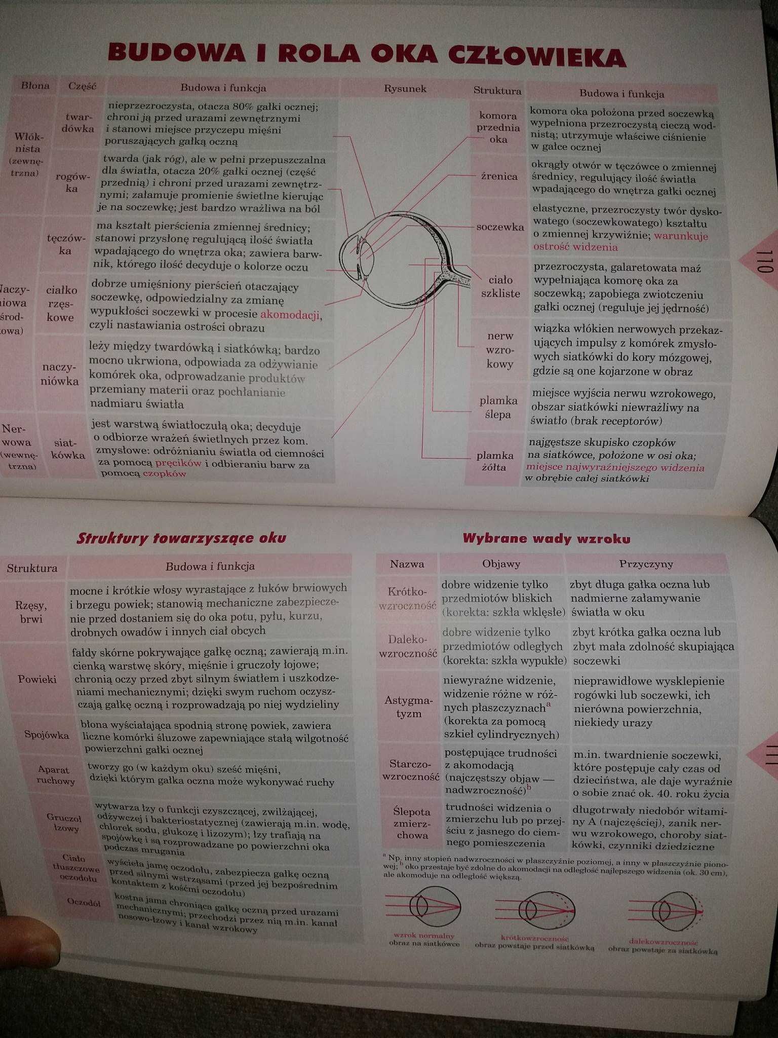 Tablice szkolne biologia adamantan
