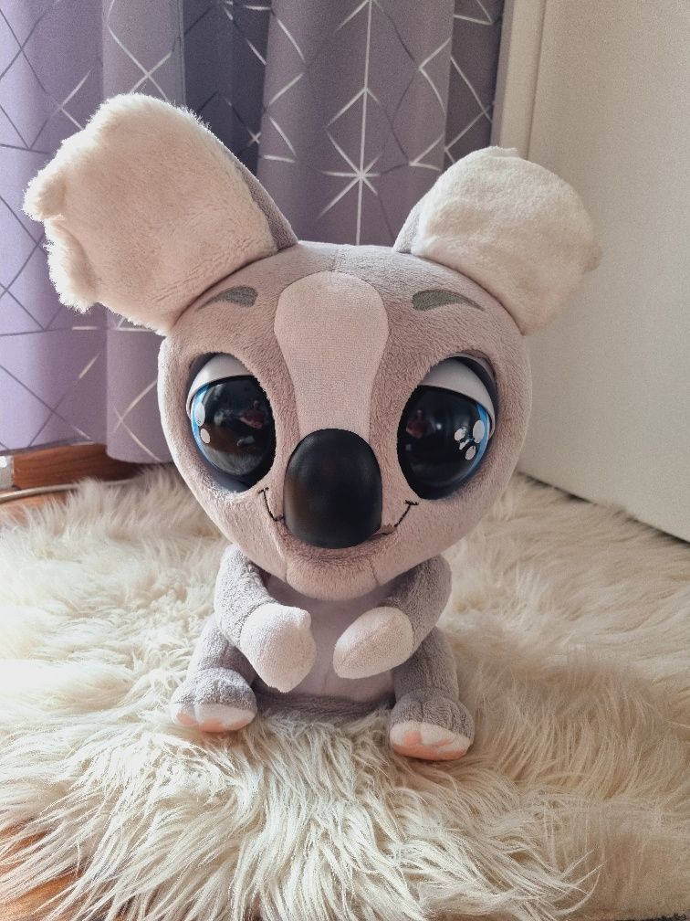 Interaktywna koala kao kao dla dzieci