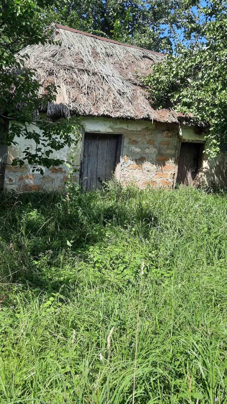 Продаж будинку в селі Горошино