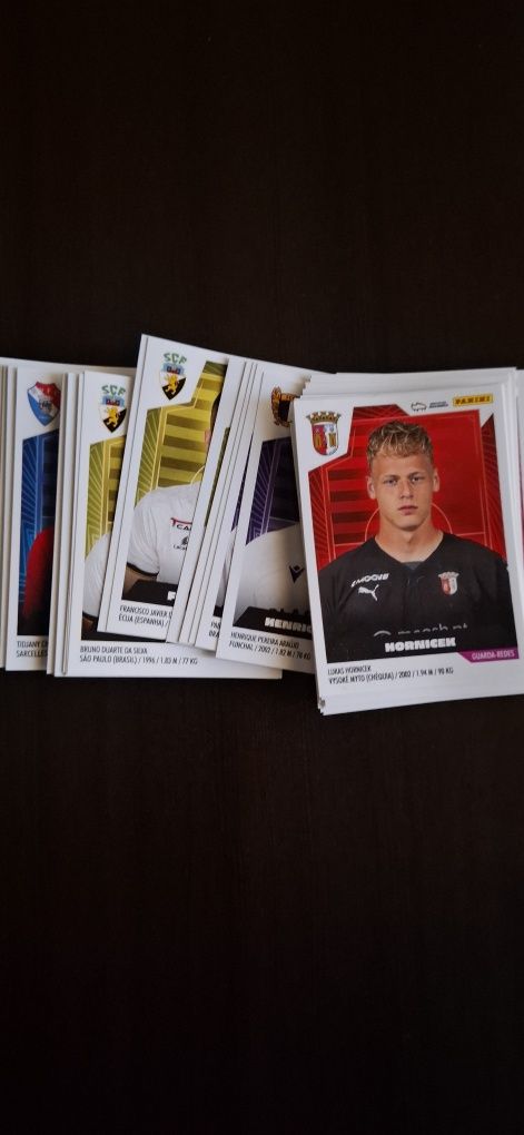 Cromos Liga Futebol 23/24