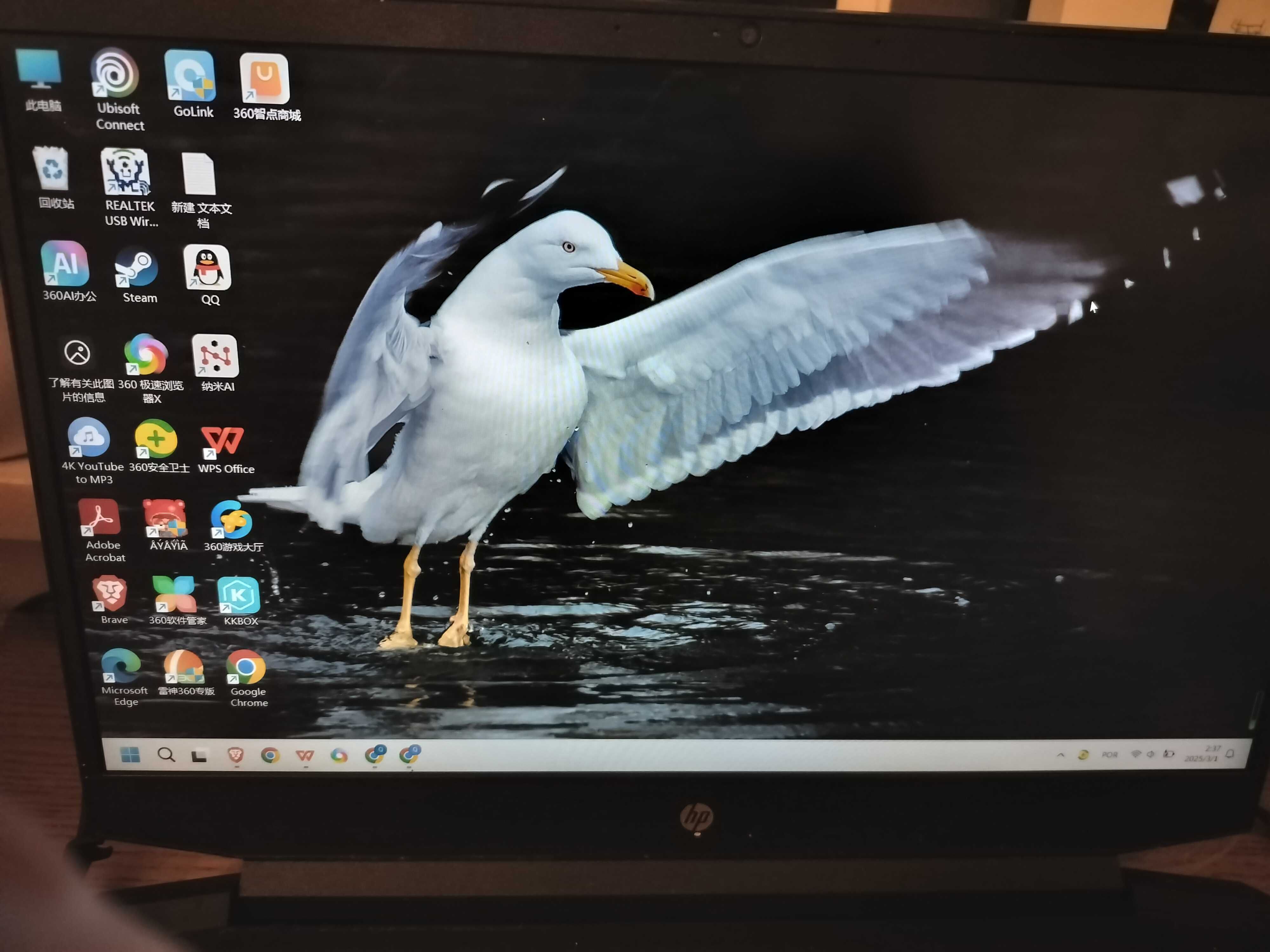 computador pavilhon