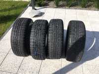 Nokian 215/60 r17 WR G2 100V XL