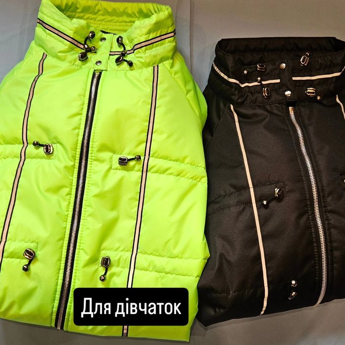 Комбінізони для великих порід.  Кане-корсе,  Ротвейлер, Лабрадор