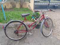 Bicicleta Universal
