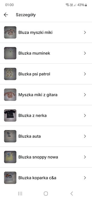 Duzy zestaw ciuchów