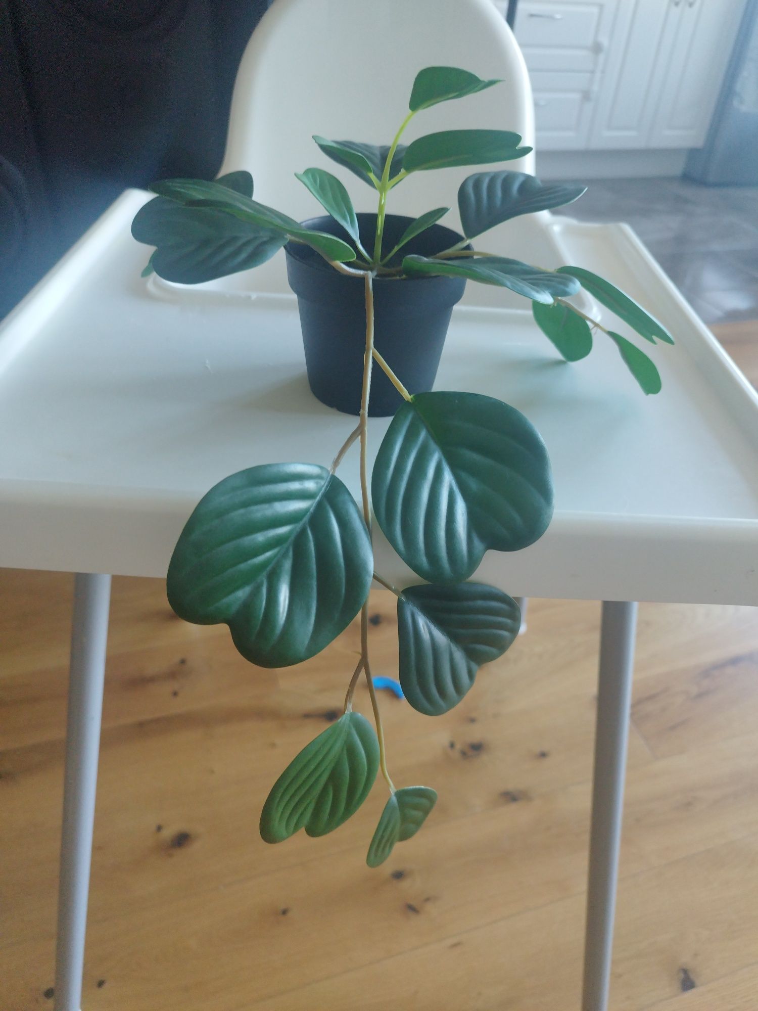 Sztuczna roślina Ikea