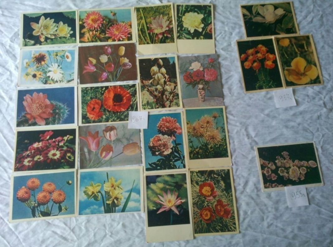 Листівки открытка радянських часів