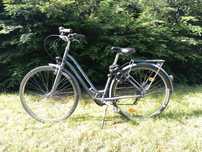 Rower eleops 120