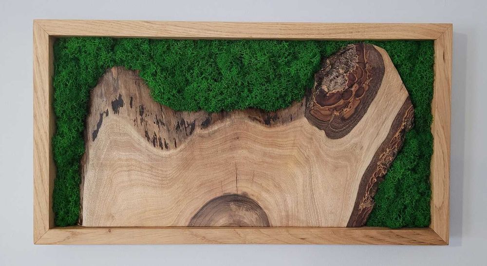 Obraz z mchu chrobotek, ramka dębowa, handmade, prezent