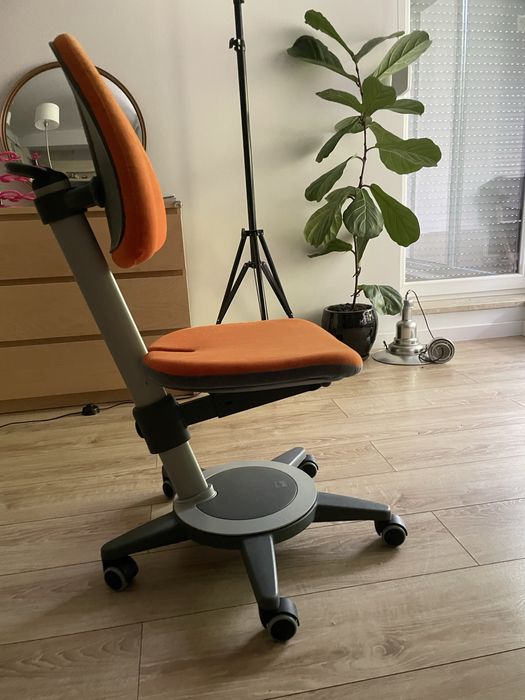 Fotel dzieciecy Moll