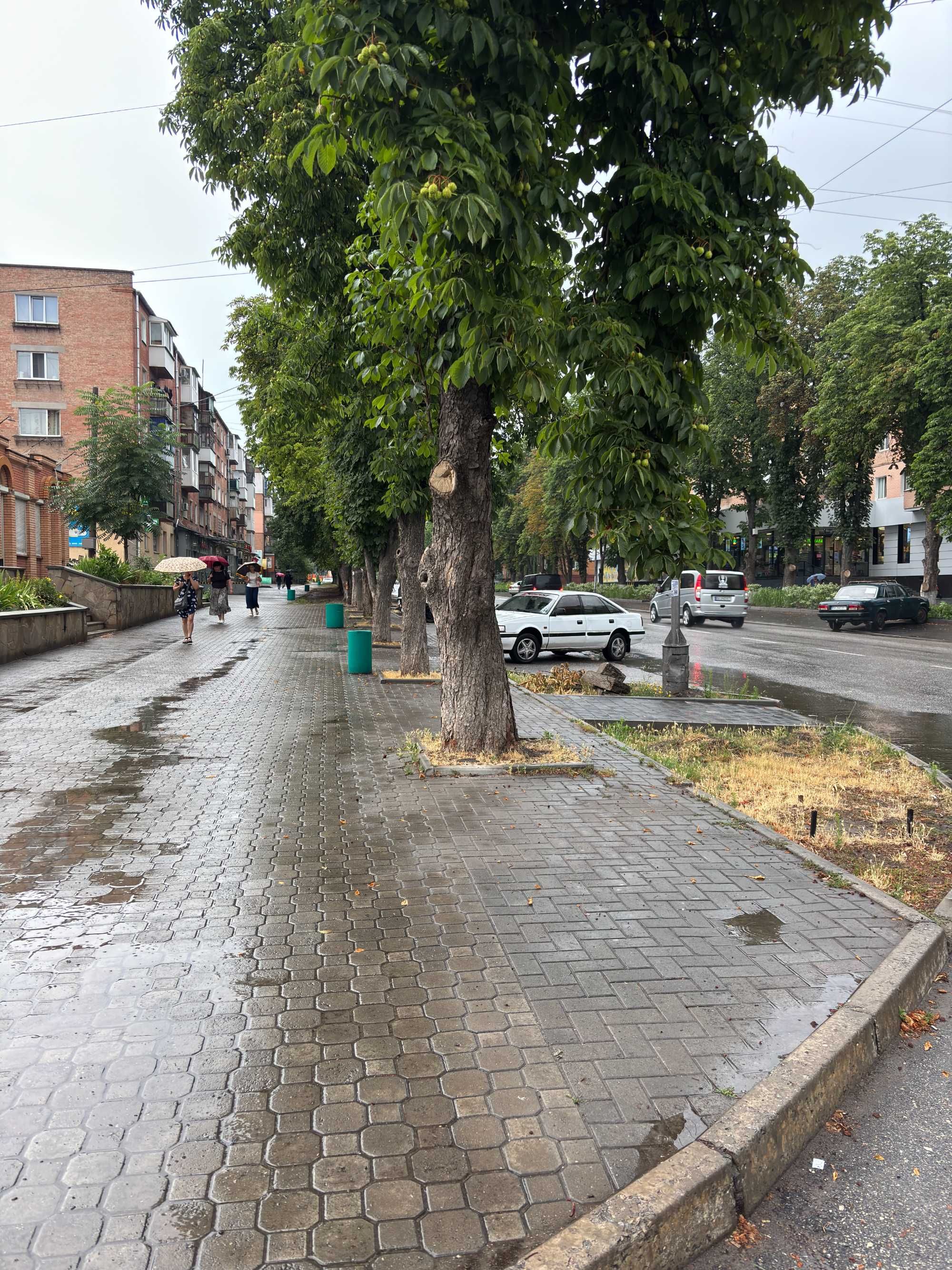 Оренда нежитлового приміщення Олександрія, Соборний, 6_75,1 м2_ВЛАСНИК