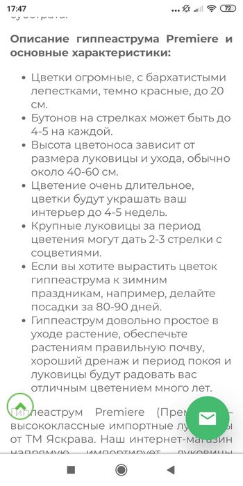 Вазон Гіппеаструм