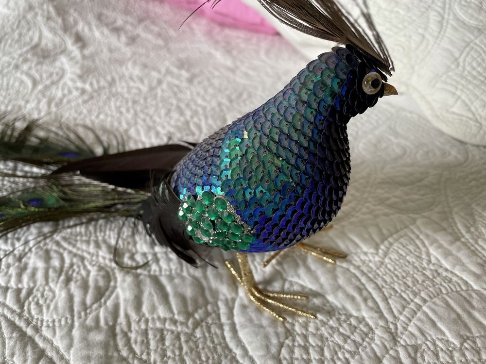 Pavão decorativo com penas verdadeiras