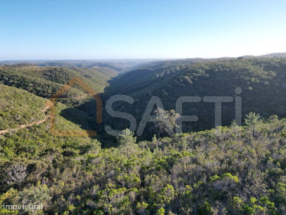 Herdade com 276 ha, enorme potencial para investidores!