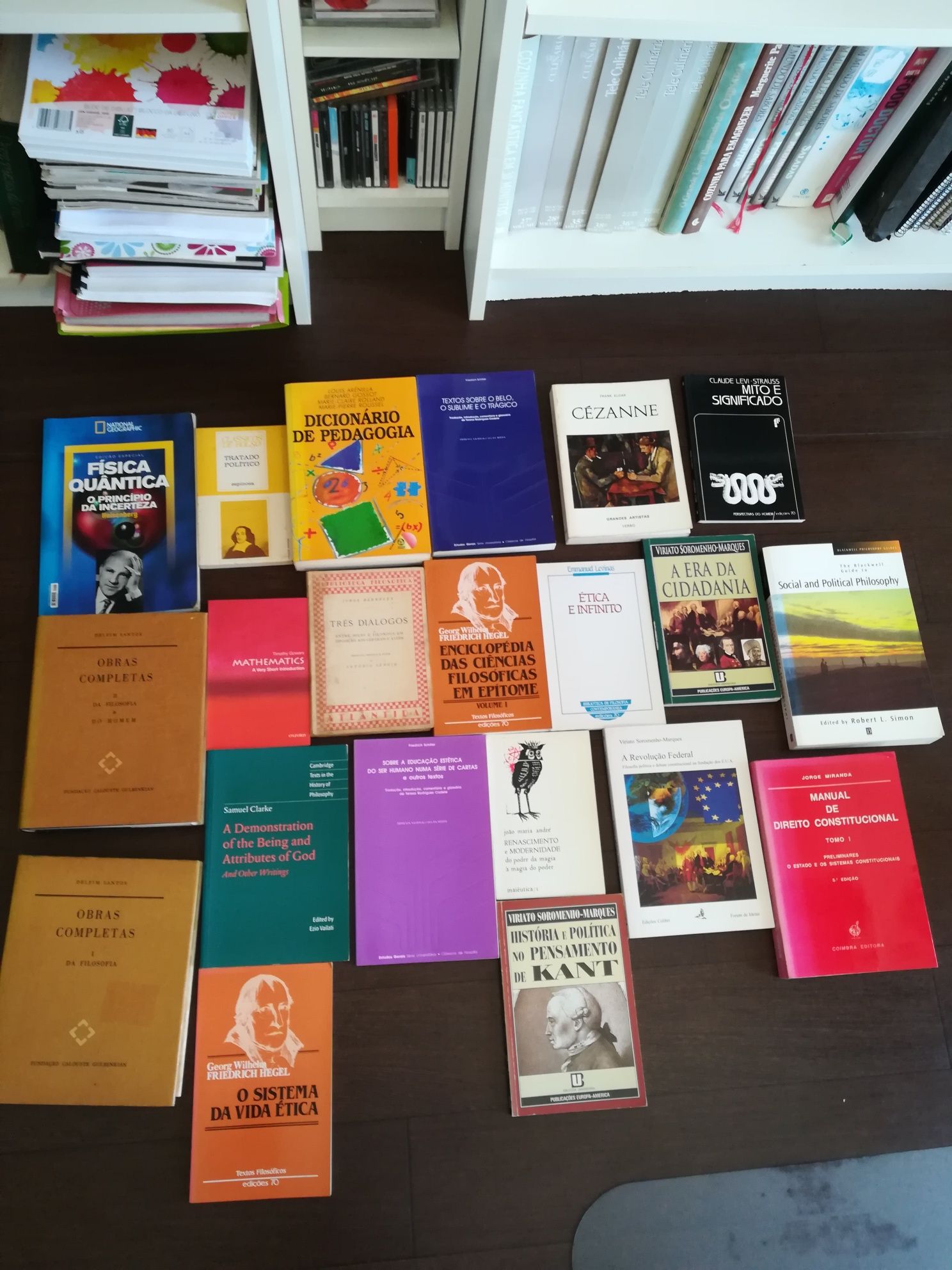 Diversos livros - filosofia, ética, matemática, estética