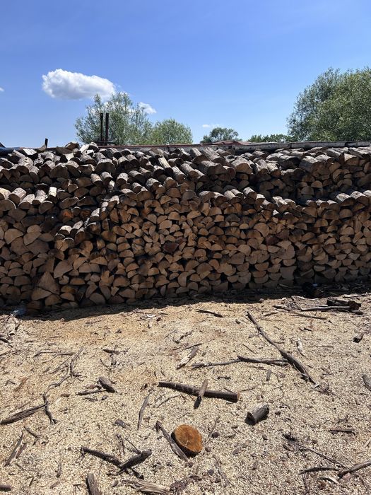 Drewno opalowe komikowe