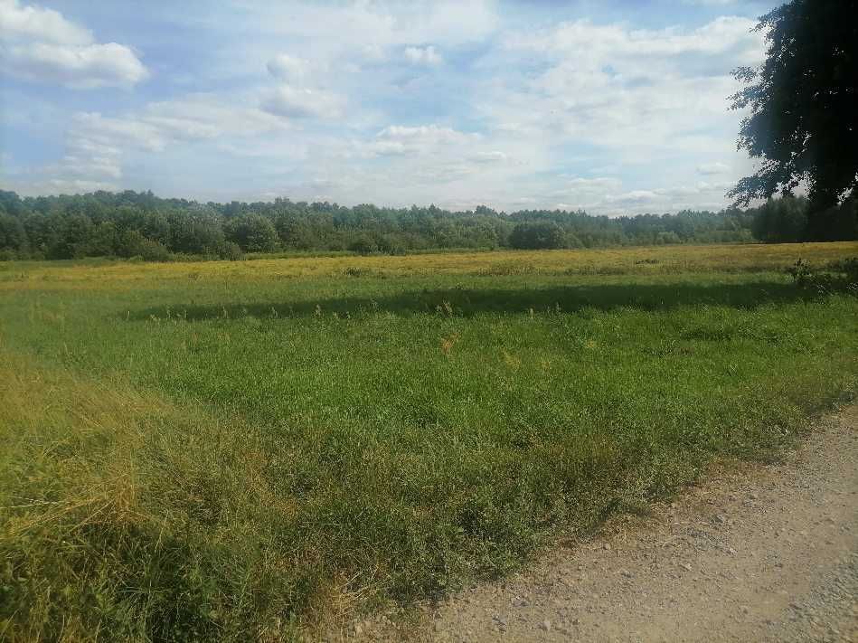 Działka 986 m2 Młodocin Większy k/ Radomia