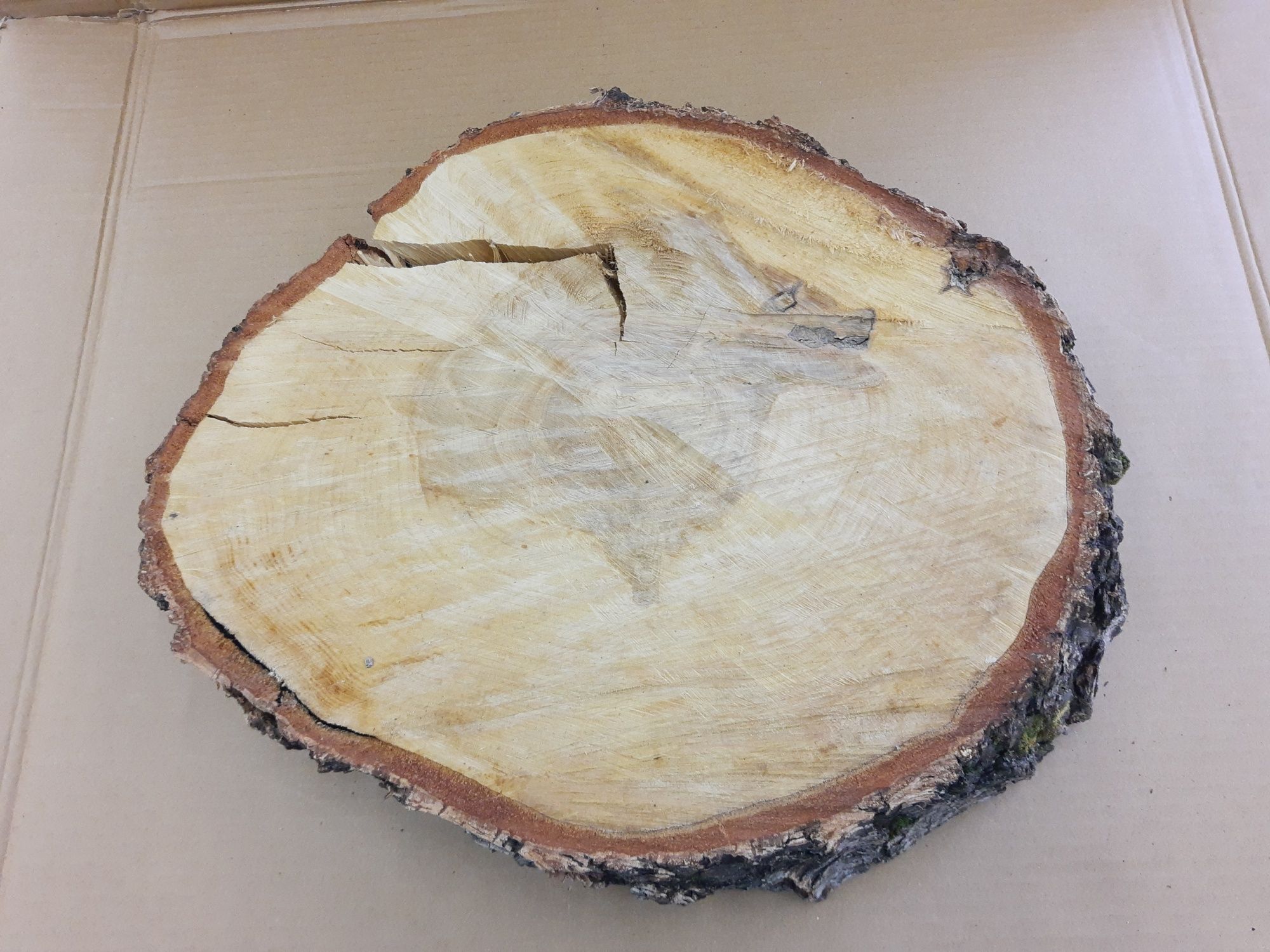 Plaster drewna z brzozy 37*31cm