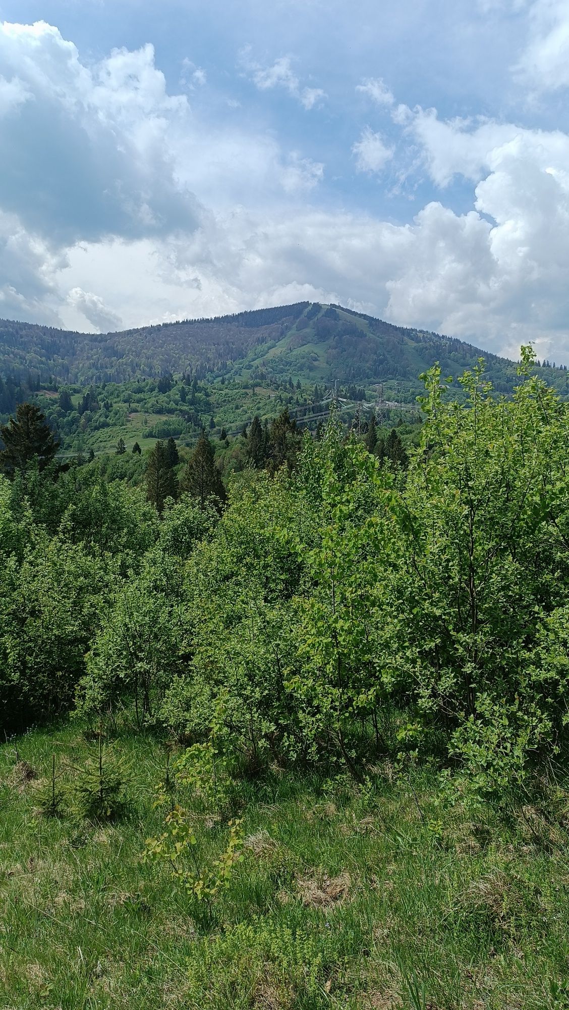 Земельна ділянка в Славське