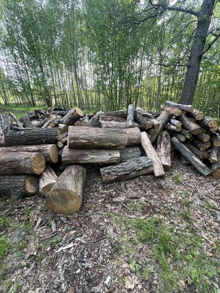Дуб граб береза вільха дрова