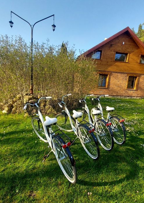 Ostoja Rakówiec,, Dom, Jaccuzi, Sauna,Ognisko,Grill,Ferie, 17000m2