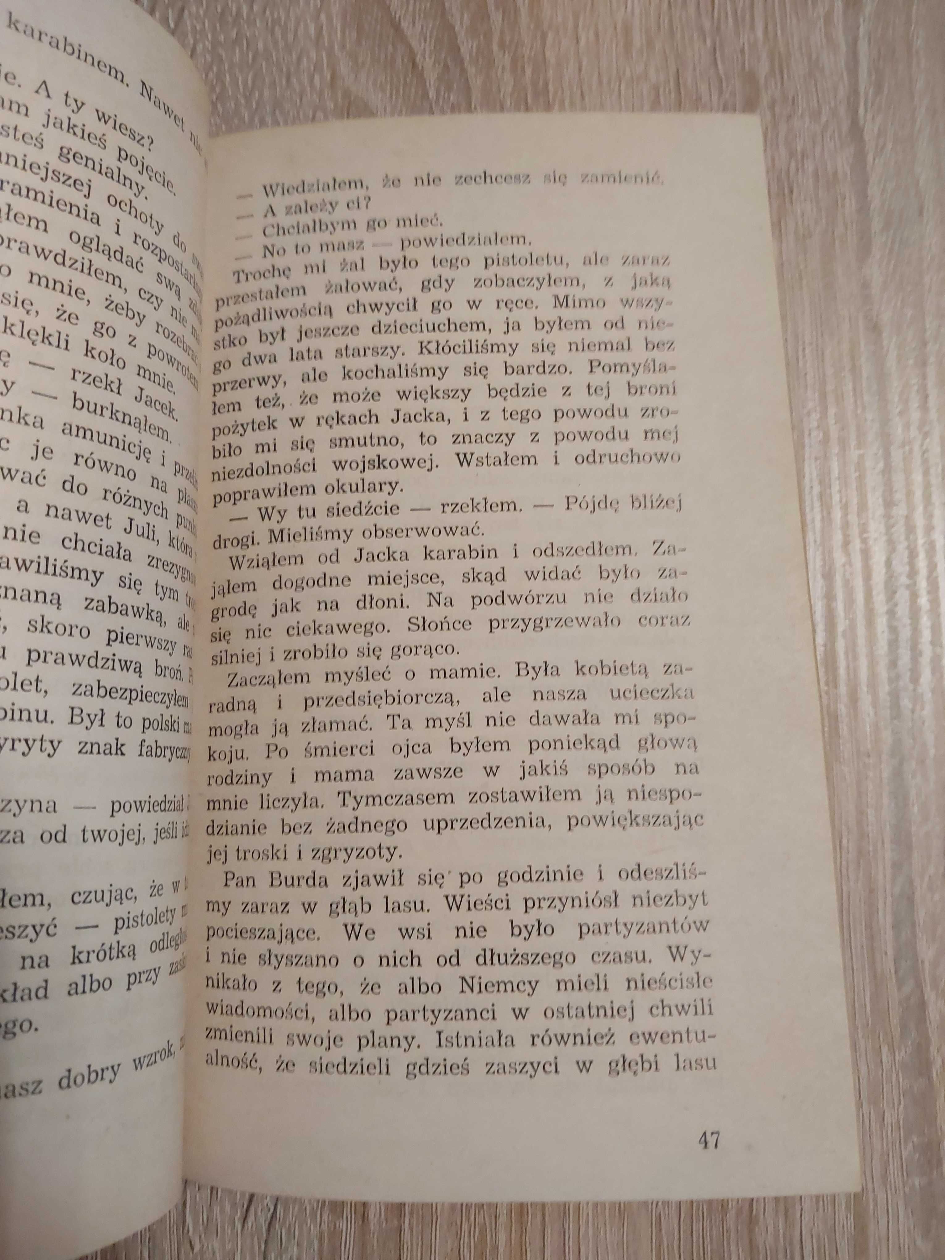 Chłopiec z karabinem