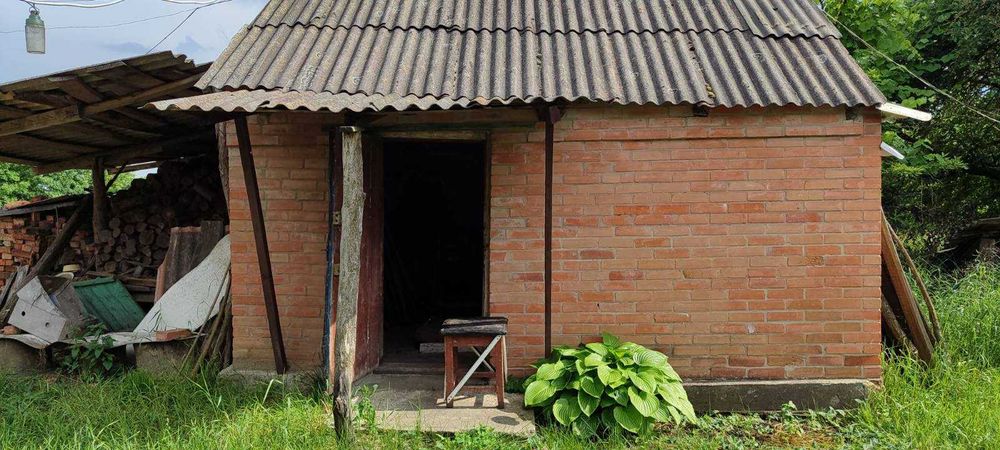 Дача біля лісу з великим дворищем та ділянкою 60 сот