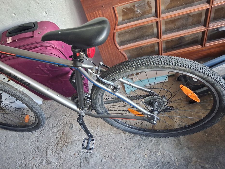 Bicicleta jovem adulto
