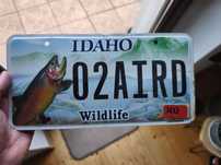 Tablica USA Idaho ryba