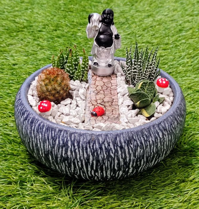 Arranjos com suculentas/ espadas