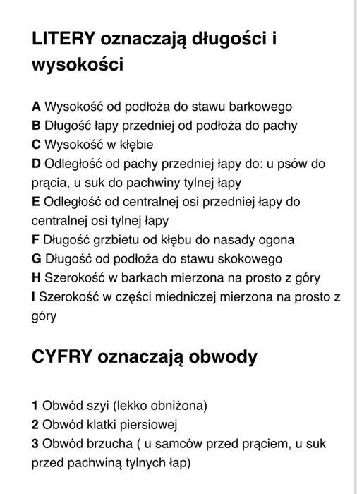 Wózeczek dla psa