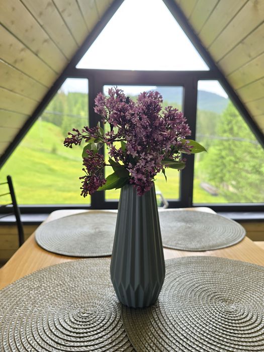 Synevyr House Житло подобово