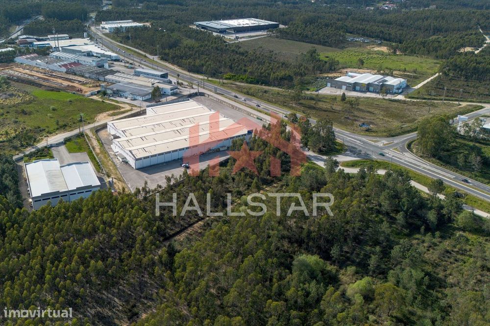 Terreno Industrial / Construção / Área Total 10.884m2 / Índice de 0.7