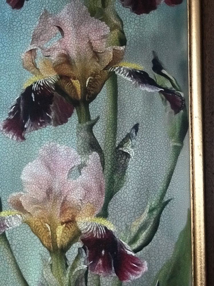 Картина «Іриси», принт. Італія. 43 х 102 см. Рама - дерево