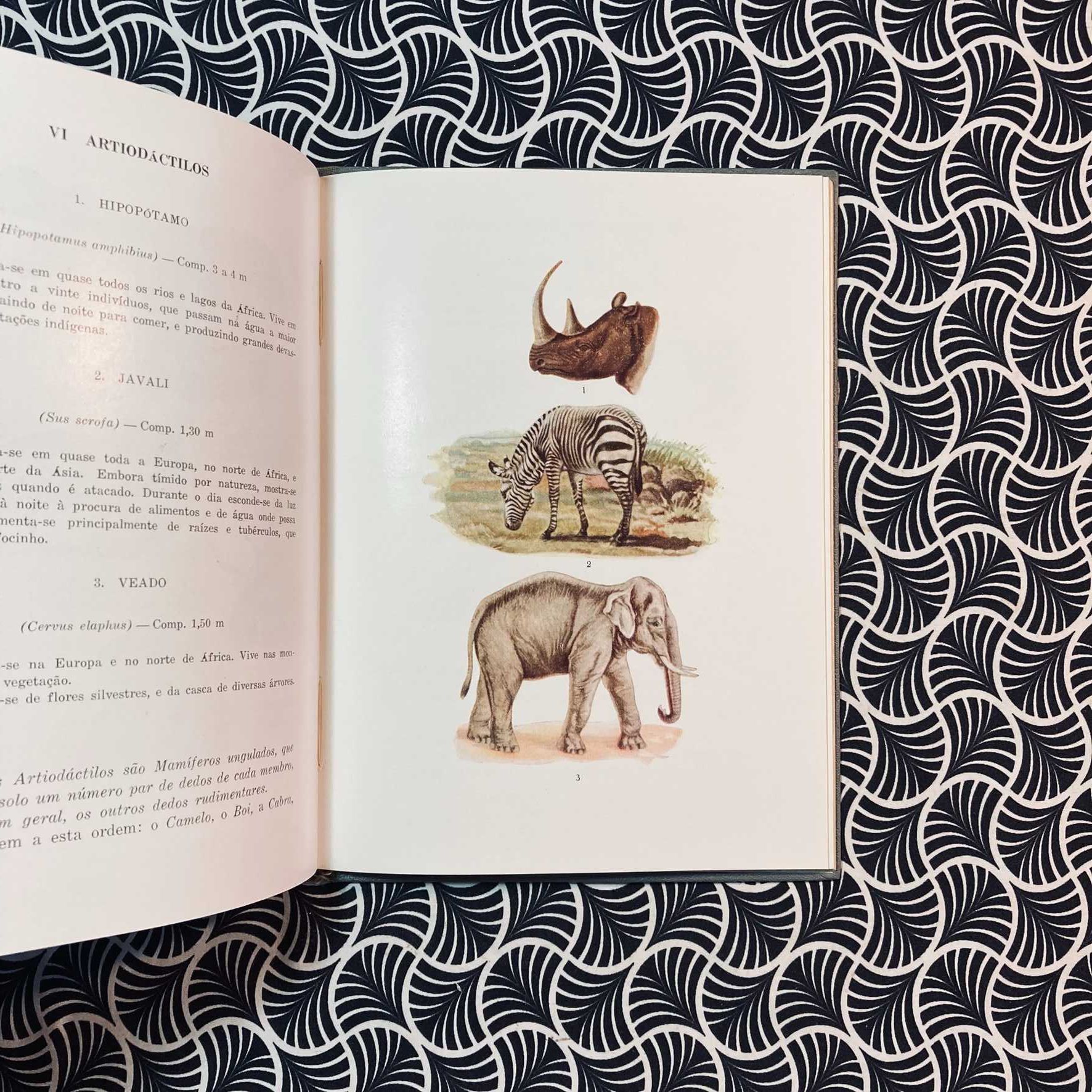Compêndio de Zoologia para o 2º Ciclo Liceal para o 3º Ano