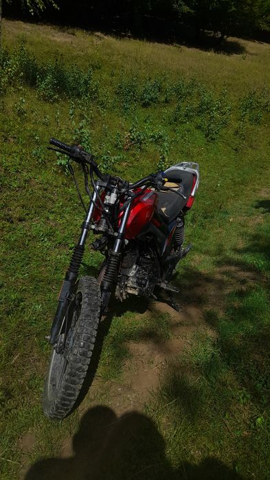 Mustang region MT200-8