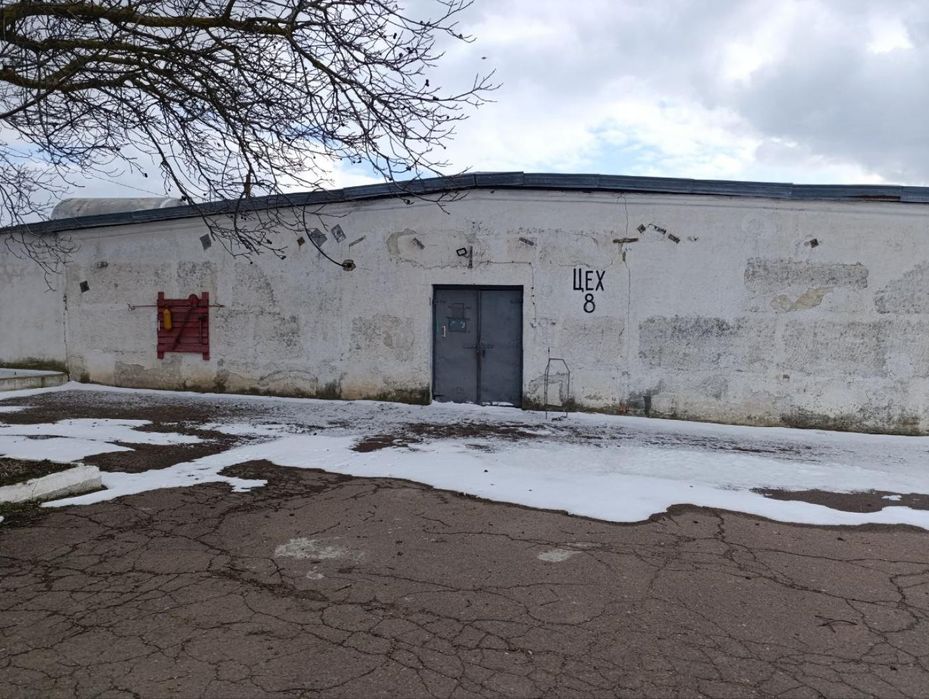 Агрокомплекс: птахофабрика + ферма з вирощування равликів, 19 га