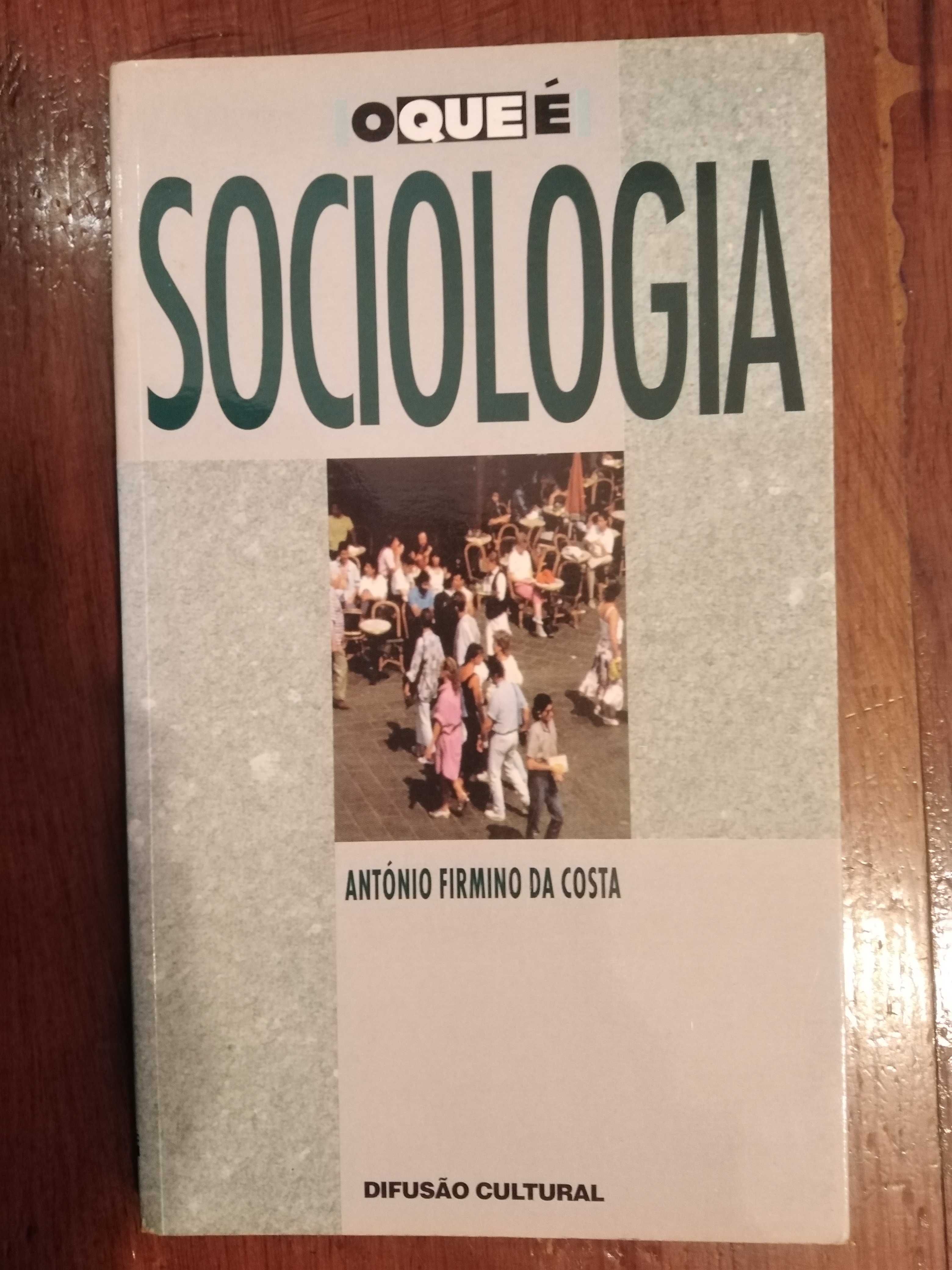 António Firmino da Costa - O que é Sociologia