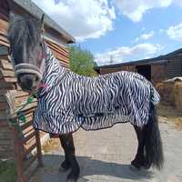 Derka zebra przeciwko owadom 145cm