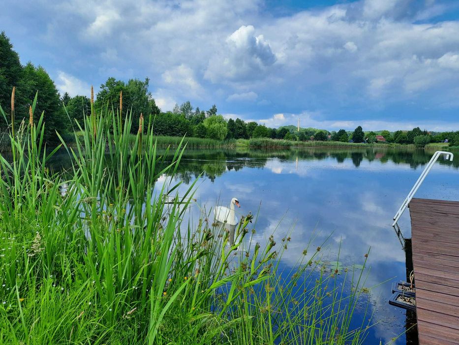 Domek całoroczny do wynajęcia nad wodą "Zacisze Olszyny"