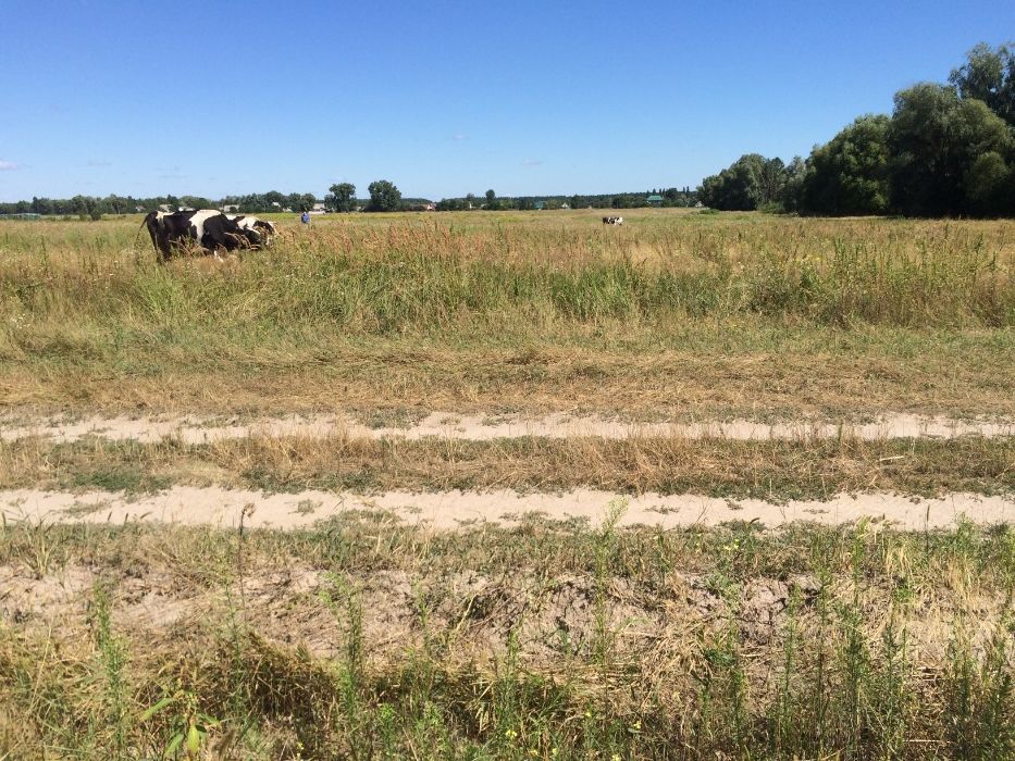Земельна ділянка в с. Микуличі, Київська область