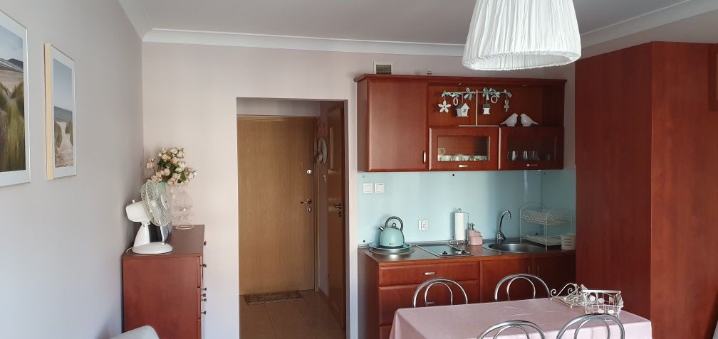 Apartament Krynica Morska Telexpressu