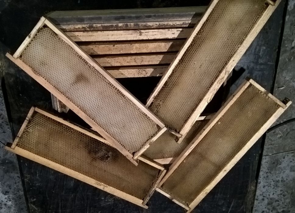 Сушь пчелиная (рамки сотовые) 145мм - 10шт.