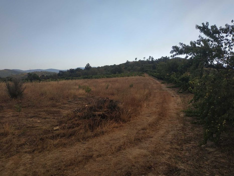 Terreno agrícola em activo.